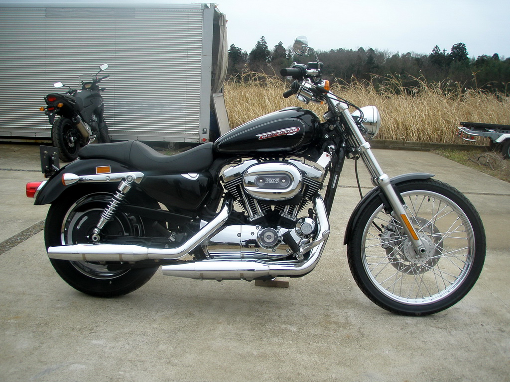 Sportster xl1200c on sale